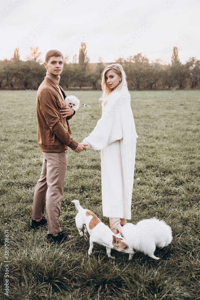 Fototapeta premium Beautiful young couple in autumn walks with dogs, pomeranian, in the park