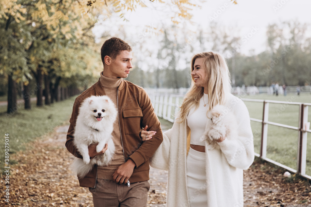 Beautiful young couple in autumn walks with dogs, pomeranian, in the park Beautiful young couple in autumn walks with dogs, pomeranian, in the park