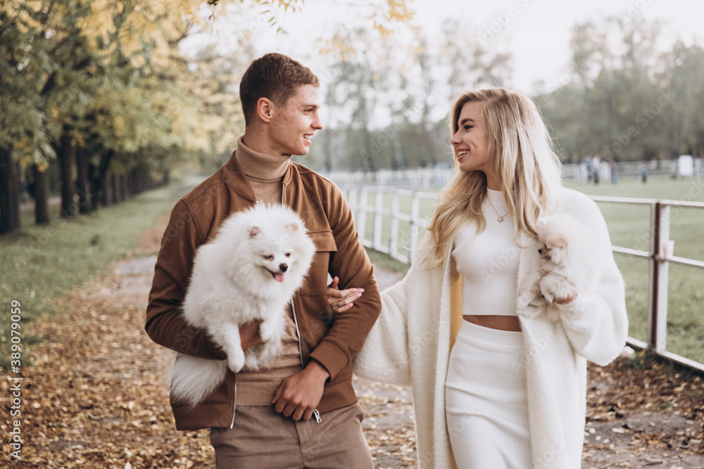Beautiful young couple in autumn walks with dogs, pomeranian, in the park Beautiful young couple in autumn walks with dogs, pomeranian, in the park