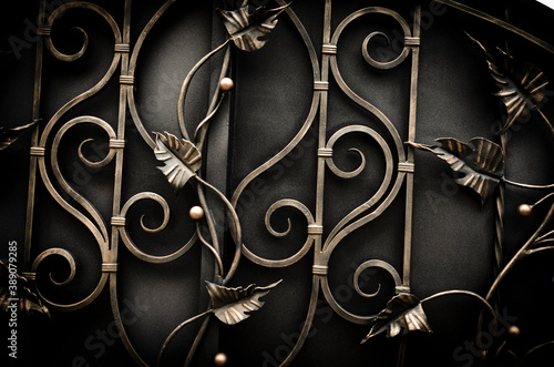 Beautiful modern forged metal fence elements, luxury fence