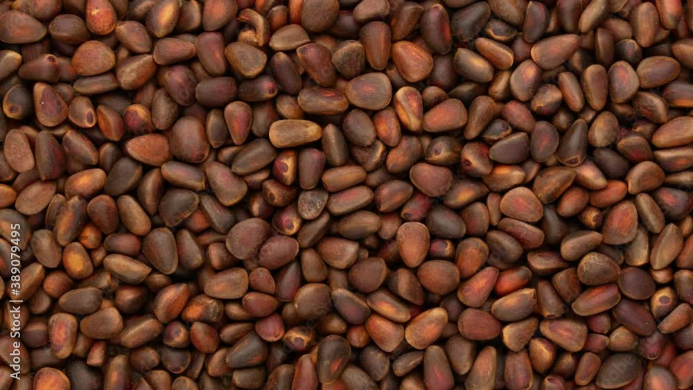 Pine nuts - background. Nuts, dolly shot. Pine nuts - background. Nuts, dolly shot.