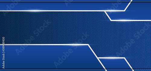 Luxury blue carbon with silver line vector background