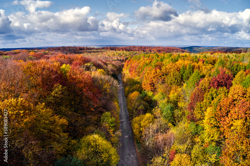 Beautiful aerial autumn forest with roadway