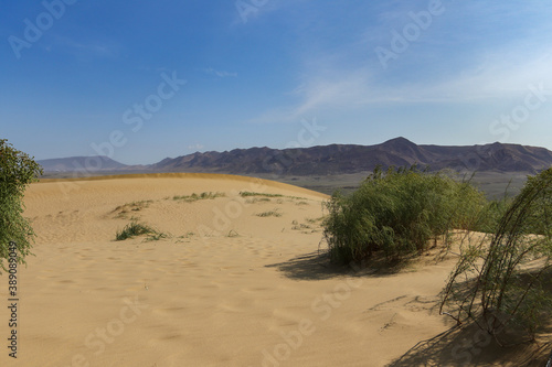 dunes in the desert