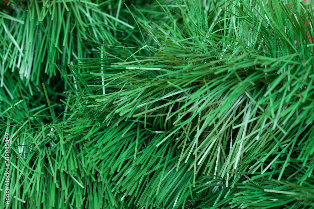 Green Christmas tree background. Visible twig texture.