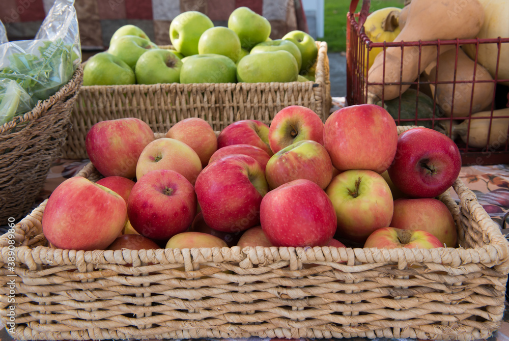 Honey Crisp Apples in a Wicker Basket Honey Crisp Apples in a Wicker Basket