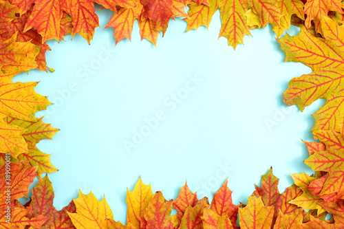 Autumn background with copy space ideal for tekst in design