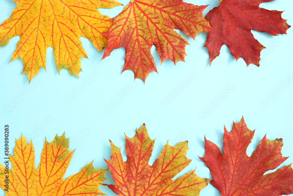 Autumn background with copy space ideal for tekst in design Autumn background with copy space ideal for tekst in design