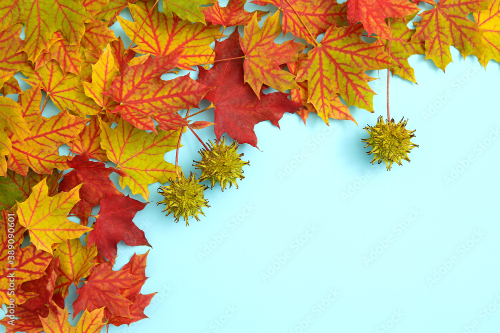 Autumn background with copy space ideal for tekst in design - obrazy, fototapety, plakaty 