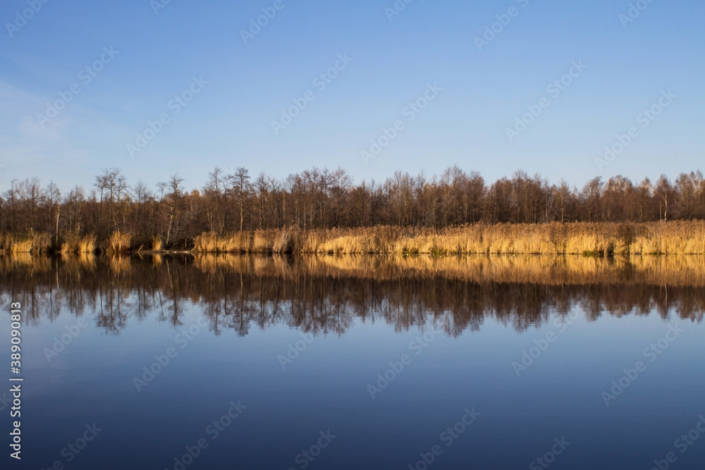 Autumn forest and grass are reflected in the lake water. The concept of calm and tranquility during the coronavirus pandemic. Horizontal orientation