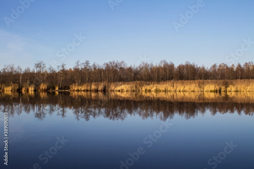 Autumn forest and grass are reflected in the lake water. The concept of calm and tranquility during the coronavirus pandemic. Horizontal orientation