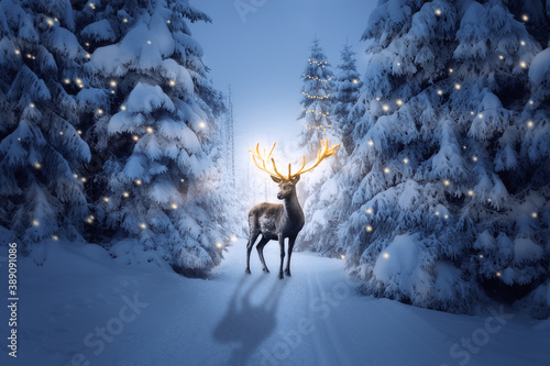 Der Hirsch mit einem goldenen Geweih in einer kalten Winternacht zu Weihnachten