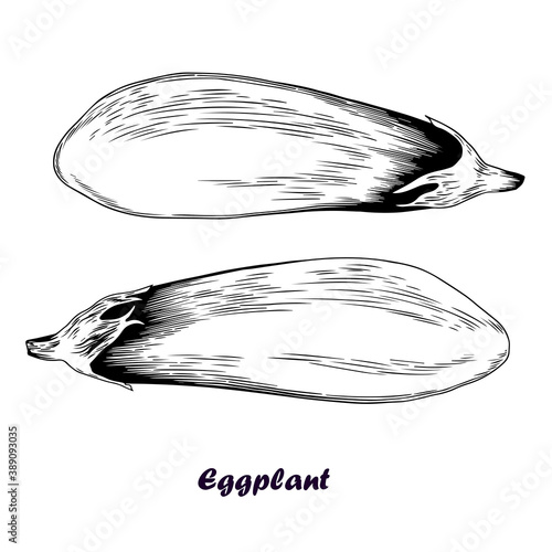 Hand drawn eggplant vector set.