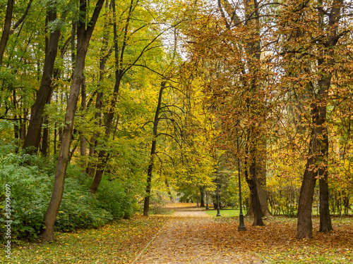 Empty alley in the public park. Beautiful autumn, colorful leaves. Warsaw, Poland © Beata