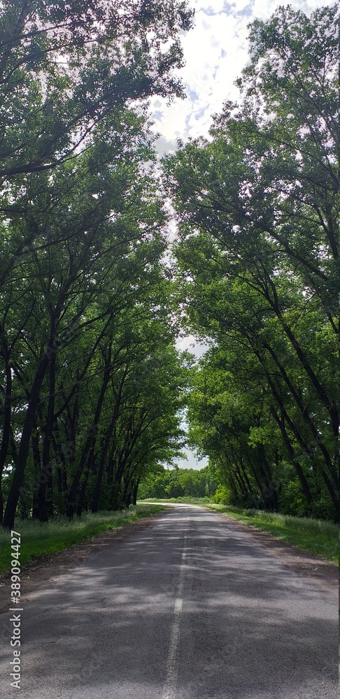 Naklejka premium road