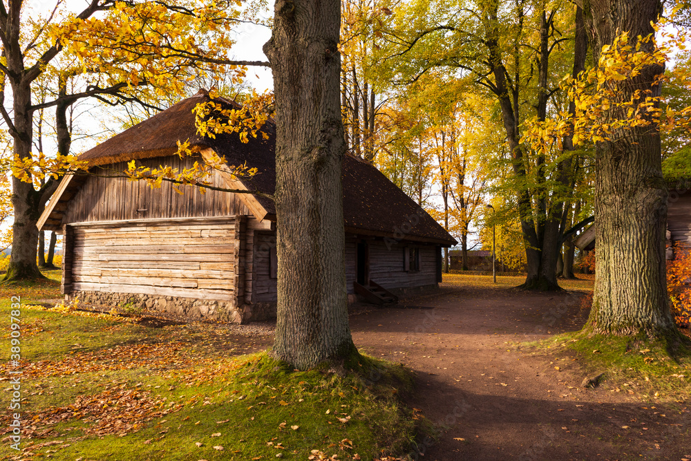 A very old log house with a thatched roof under large oaks in an autumn forest