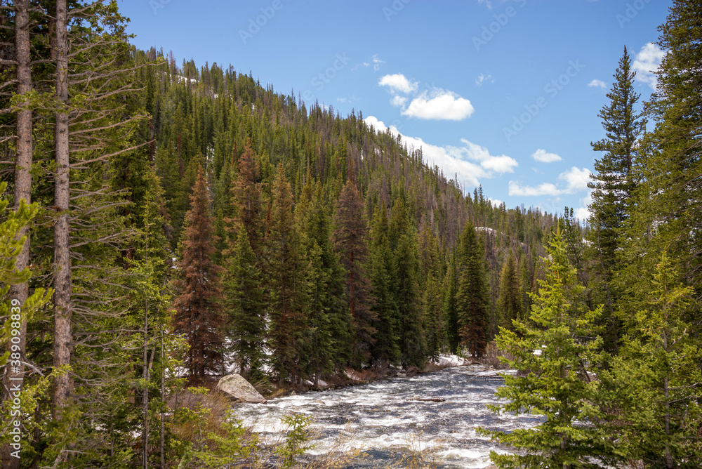 landscape with trees by rushing river water landscape with trees by rushing river water