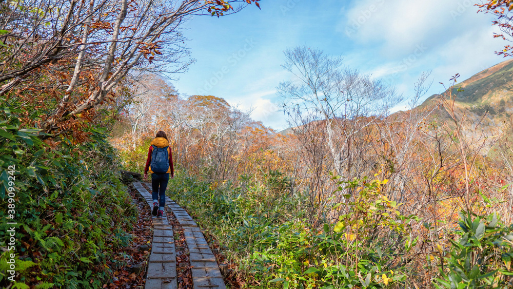 ハイキングを楽しむ女性