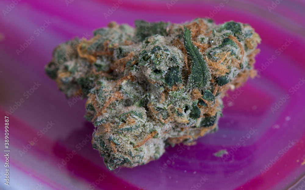Jenny's Kush Medical Marijuana Jenny's Kush Medical Marijuana