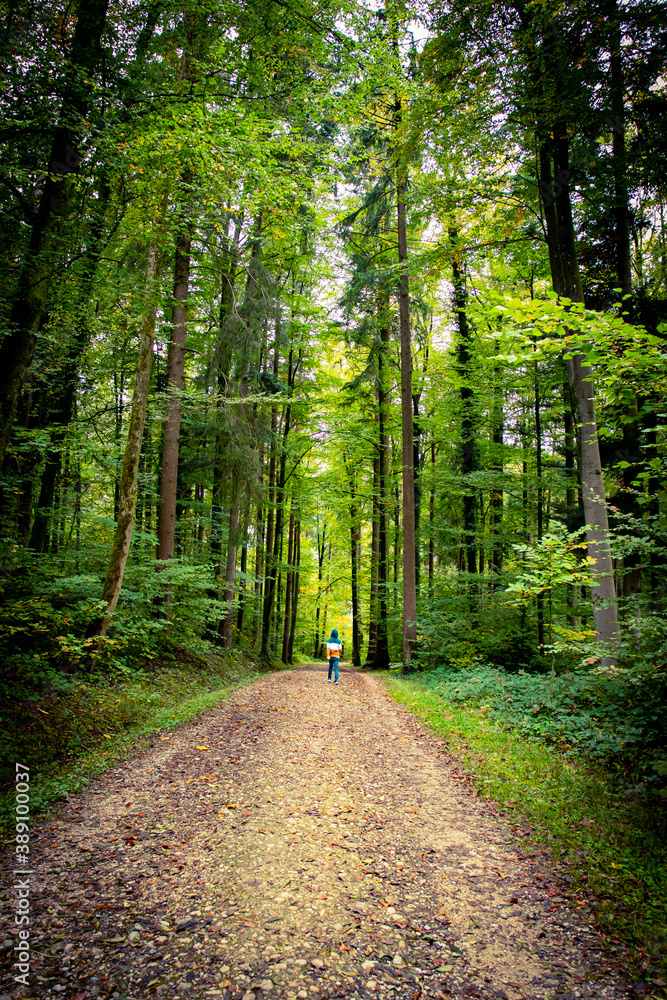 Obraz premium The autumn has arrived in Switzerland