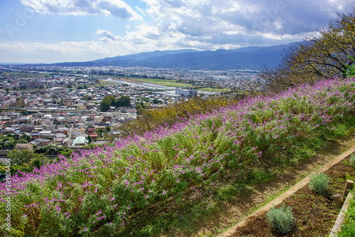 松田山ハーブガーデンの光景