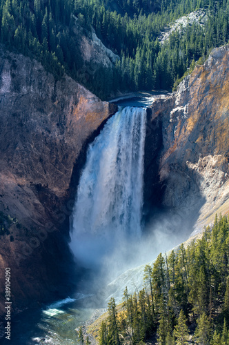 Lower Falls Yellowstone National Park vertical. Geothermal geological environment ecosystem landscape. Caldera  the largest super volcano on the continent. Biology geography and ecology.