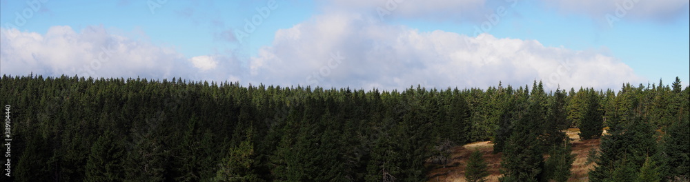 panorama mountain view with forests and blue sky in a sunny day, Jeseníky Mountains, Czech Republic, green-blue