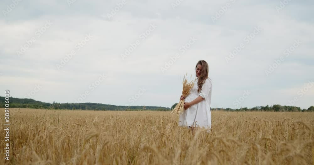 A young beautiful pregnant woman in a white summer dress stands in a wheat field holding wheat bouquet in hand and touching her belly. A young beautiful pregnant woman in a white summer dress stands in a wheat field holding wheat bouquet in hand and touching her belly.