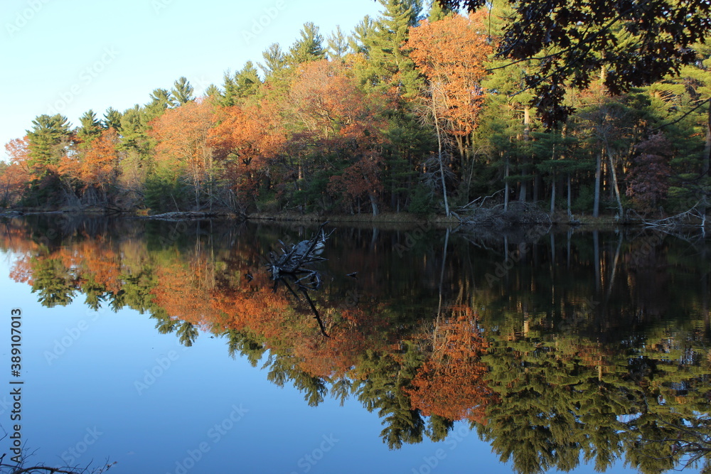 autumn trees reflected in water