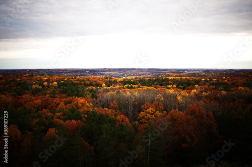 Autumn forest in Ontario, Canada as seen from the lookout at Sager Conservation Area.