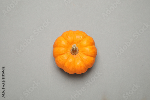 Fresh ripe pumpkin on grey background, top view