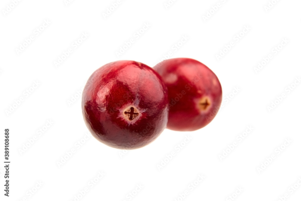 Obraz premium Cranberries isolated on white background