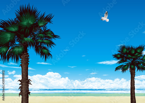 常夏のビーチリゾートのイメージ