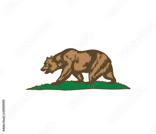 California bear. flag of California. vector illustration