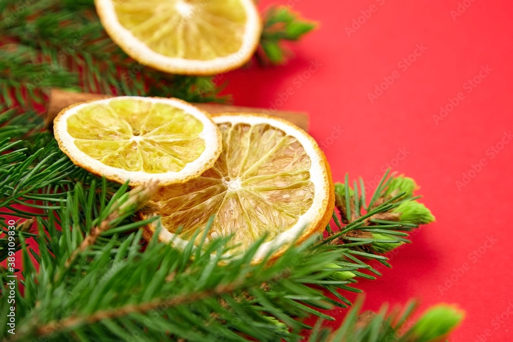 Dried orange slices with christmas tree branches on red background Dried orange slices with christmas tree branches on red background