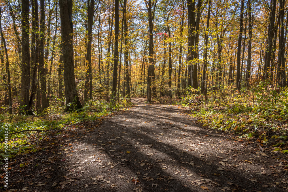 Fall Colours Maple Nature Reserve Fall Colours Maple Nature Reserve