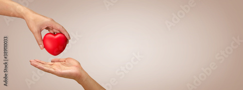 Foto The concept of charity, love, donate and helping hand.