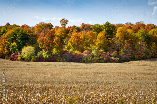 Fall Colours Northumberland Ontario