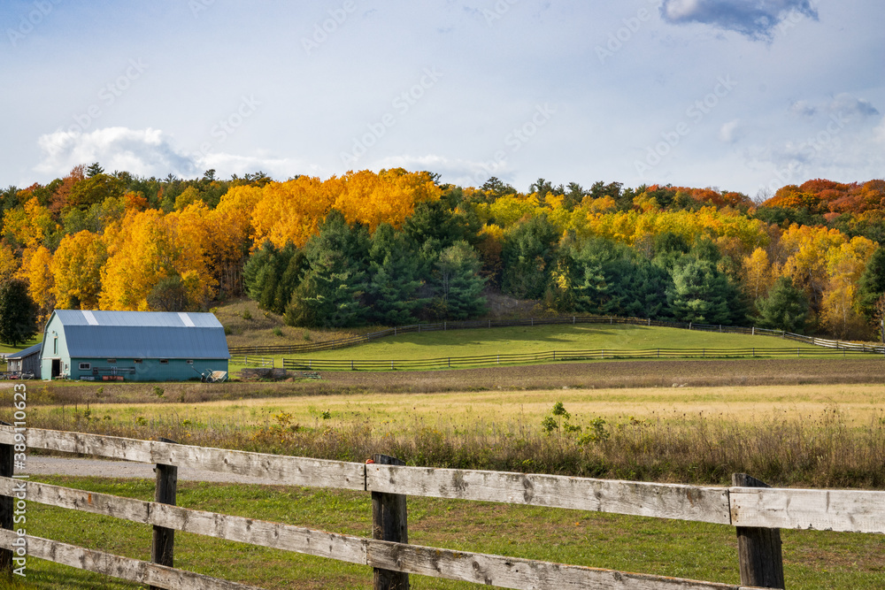 Fall Colours Northumberland Ontario