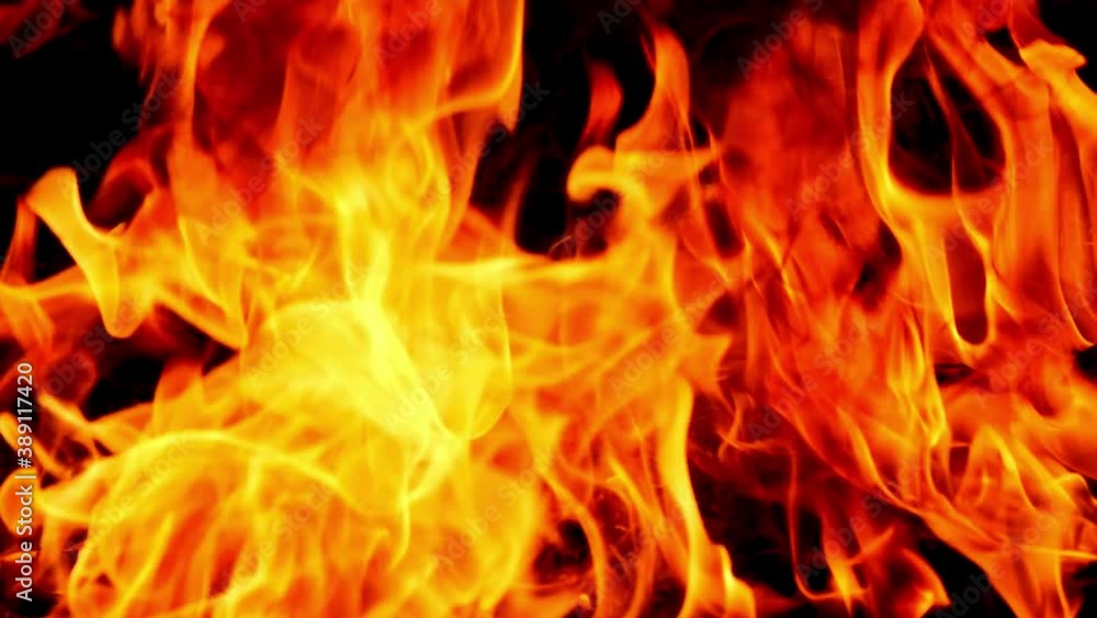 Red flames are burning on black background.
Red flames are burning on black background.
