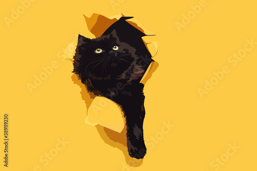 Funny black cat ripped yellow paper and looks up. Copy space. Vector illustration.