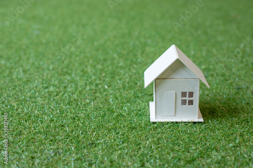 The white house is a symbol. On the green lawn, the background blurred.