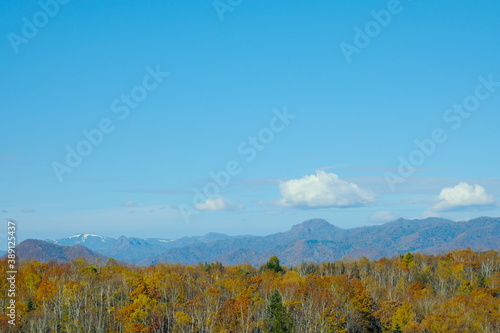 山の紅葉