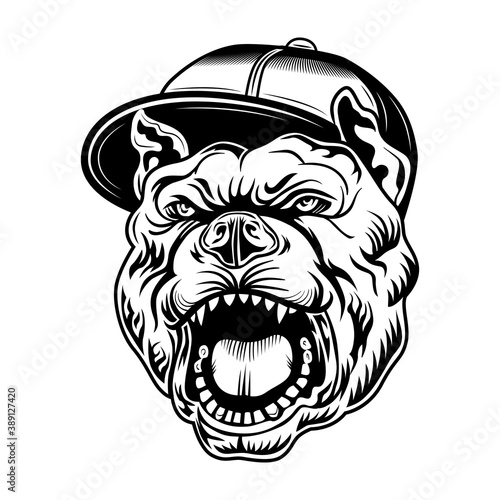 Gangsta bulldog vector illustration. Head of aggressive dog in gangsters cap. Lifestyle concept for tattoo templates, or rap music community emblems