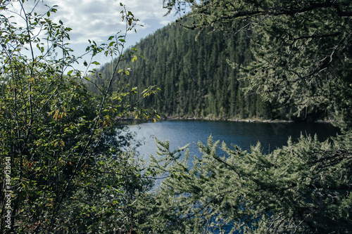 lake and forest