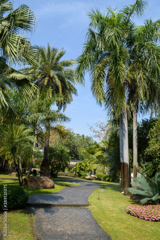 green garden in country Thailand green garden in country Thailand
