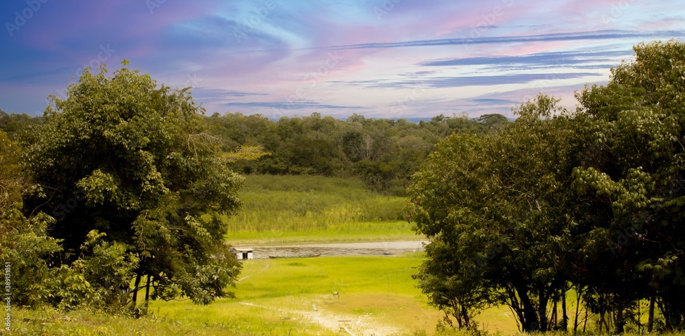 Obraz premium Community on Lake Coari-Am Brasil