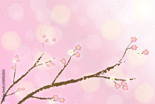 冬の景色 梅の咲く空 ピンク