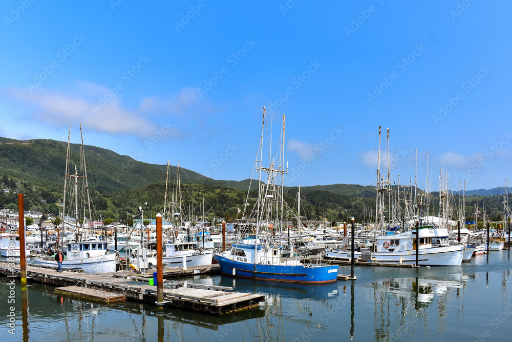 West coast fishing boats in marina