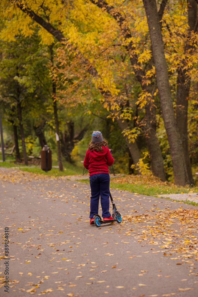 Back of boy riding a scoother in park Back of boy riding a scoother in park